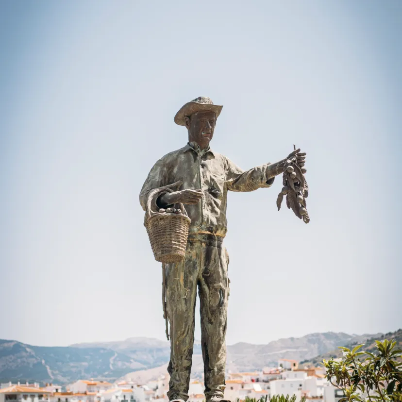 The statue of the man with the nísperos.